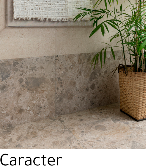 Porcelanicos Caracter Marazzi